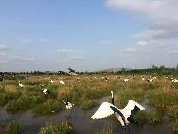 深圳裕同集团79人内蒙古呼伦贝尔草原旅游团