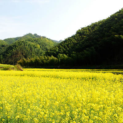 婺源
