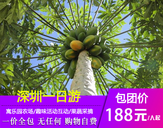 深圳寓乐园农场野炊-趣味活动互动1天