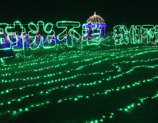 龙门鲁冰花童话园-尚天然趣味拓展1日游