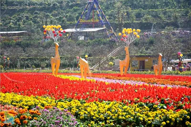  【团建活动】深圳江门团建活动2日游