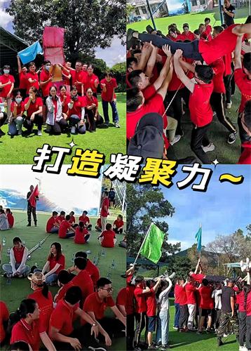 佳天下国旅正式‘复工’啦！
